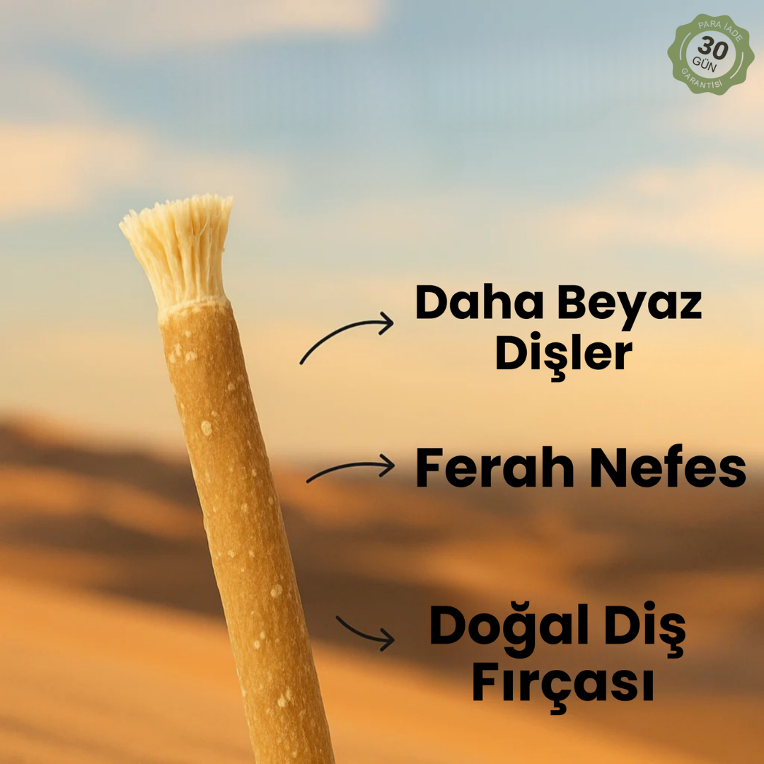 NurMisvak™ –  Sünnete Uygun Doğal Misvak - 5 ADET